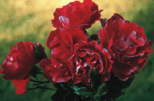 Rose Guy Savoy