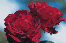 Rose Heinz Winkler