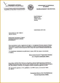 Internationale Markenanmeldung